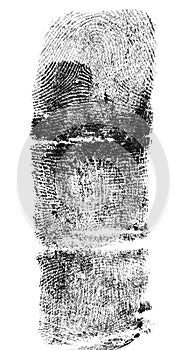 Black fingerprint of the index finger isolated on white background. Real fingerprint, top view