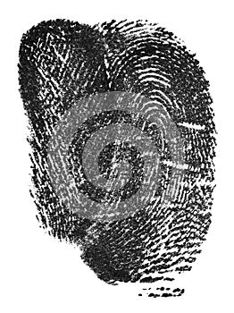Black fingerprint isolated on white background, top view. Police fingerprints. Black ink fingerprint