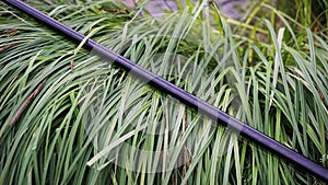 Black fishing rod lying on the green grass