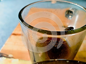 The black flies is perching on the top side of the transparent glass occurs in the wooden table photo