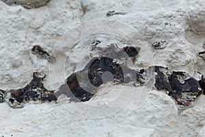 Black flint pebbles in limestone of Cretaceous age