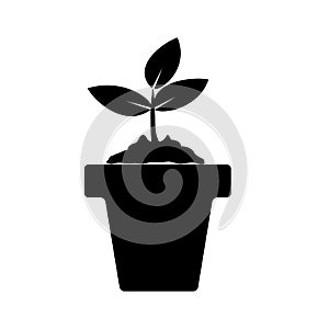 Black flower icon. Plant pot. Gardening plant. Isolated on white background. Vector