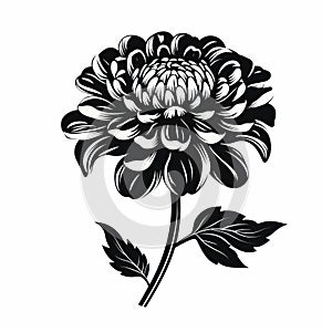 Black Flower Illustration: Chiaroscuro Woodcut Style photo