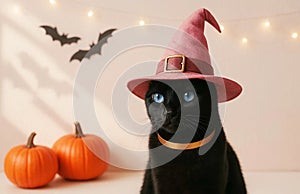 A black fluffy cat in a magic hat and orange Halloween pumpkins on light background