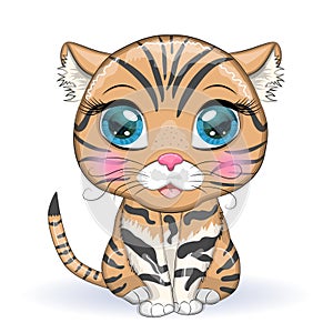 Black footed cat with beautiful eyes in cartoon style