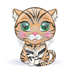 Black footed cat with beautiful eyes in cartoon style