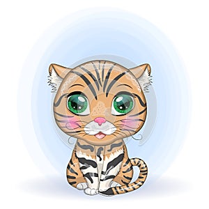 Black footed cat with beautiful eyes in cartoon style