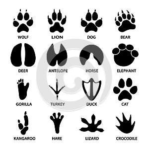Black footprints shapes of animals. Elephant, leopard, reptile and tiger.