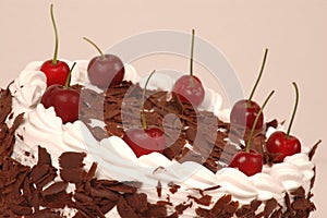 Black Forest cake with cherry