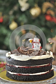 Black Forest Cake with Christmas decoration