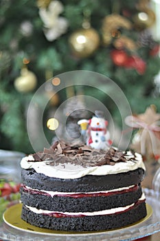 Black Forest Cake with Christmas decoration