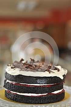 Black Forest Cake with Christmas decoration