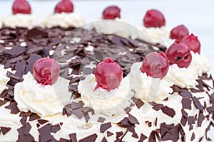 Black Forest cake in detail with white background