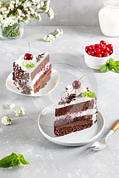 Black forest cake, Schwarzwald pie, dark chocolate and cherry dessert on a plate. Cherry cake with chocolate