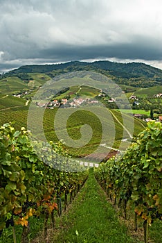 Black Forest, Durbach