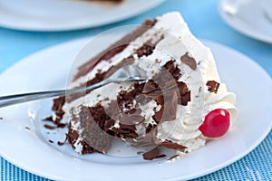Black Forest gateau,or cherry Pie with cream photo