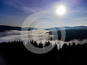 Black Forest, Germany. Forest, Plants and trees, aerial photo