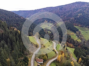 Black Forest, Germany. Forest, Plants and trees, aerial photo