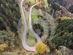 Black Forest, Germany. Forest, Plants and trees, aerial photo