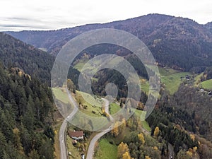 Black Forest, Germany. Forest, Plants and trees, aerial photo