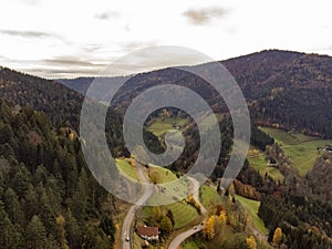 Black Forest, Germany. Forest, Plants and trees, aerial photo