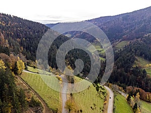 Black Forest, Germany. Forest, Plants and trees, aerial photo