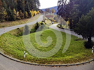 Black Forest, Germany. Forest, Plants and trees, aerial photo