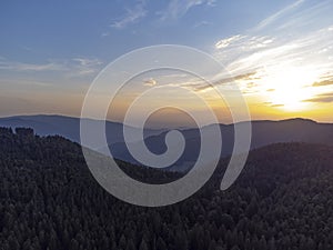 Black Forest, Germany. Forest, Plants and trees, aerial photo