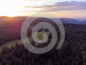 Black Forest, Germany. Forest, Plants and trees, aerial photo