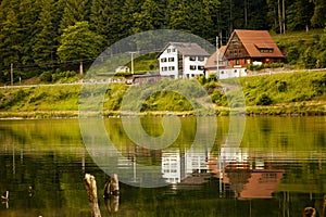 Black Forest, Germany. Forest and trees, lake reflection