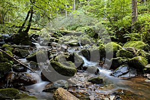 Black Forest, Germany. waterfall and rocks