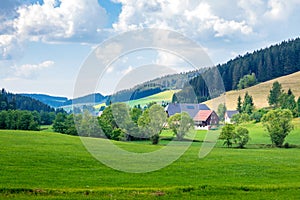 Black Forest Landschape