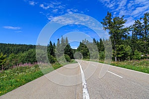 Black forest mountain road