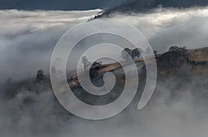 Black Forest Mountains Landscapennature Trees Fog Germany Schwarzwald Schauinsland