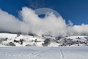 Black Forest in the winter
