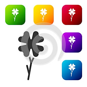 Black Four leaf clover icon isolated on white background. Happy Saint Patrick day. Set icons in color square buttons