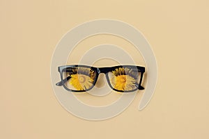 Black frame glasses with eyes dandelions with eyelashes