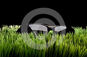 Black framed sunglasses on grass