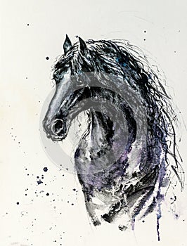 Black Fresian horse watercolors painted.
