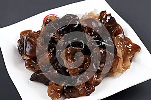 Black fungus photo