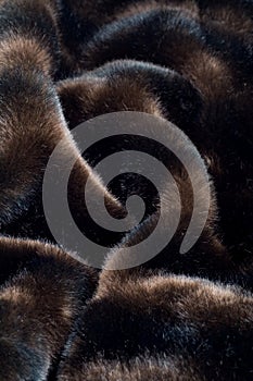Black fur background.