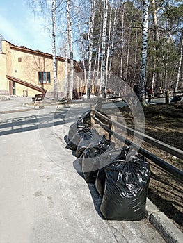 Black garbage bags stand by the side of the road. Urban or rural landscape. Late autumn, trees without leaves, sunny nice day.