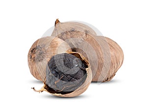 Black garlic bulbs on white background