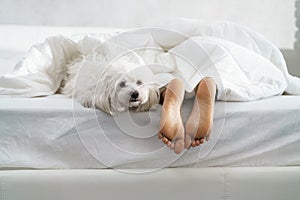 Black Girl Sleeping In Bed With Dog And Showing Feet