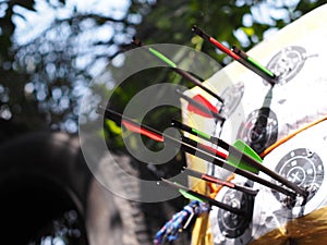 Black glass carbon fibre archery crossbow bolts with red and green colour vanes on house-made practice target in private backyard
