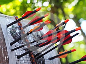 Black glass fibre archery crossbow bolts with plastic colour vanes on house-made practice target in private backyard garden