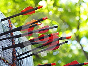 Black glass fibre archery crossbow bolts with plastic colour vanes on house-made practice target in private backyard garden