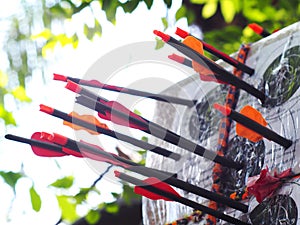 Black glass fibre archery crossbow bolts with plastic colour vanes on house-made practice target in private backyard garden