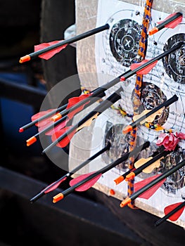 Black glass fibre archery crossbow bolts with plastic colour vanes on house-made practice target in private backyard garden