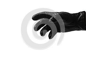 Black glove on white background